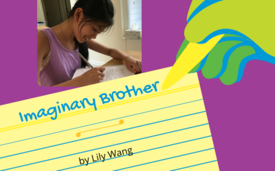 Imaginary Brother by Lily Wang