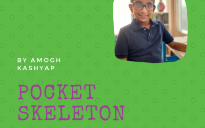 Pocket Skeleton by Amogh Kashyap