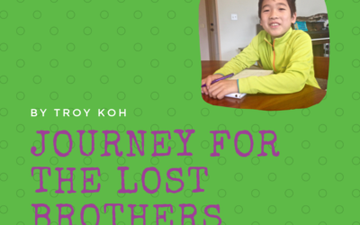 Journey for the Lost Brothers by Troy Koh