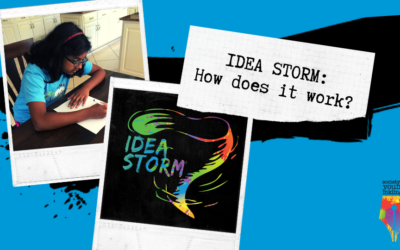 How does the Idea Storm work?