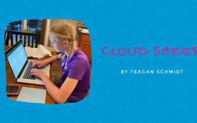 Cloud Sheep by Teagan Schmidt {Inklings Book Contest 2021 Finalist}