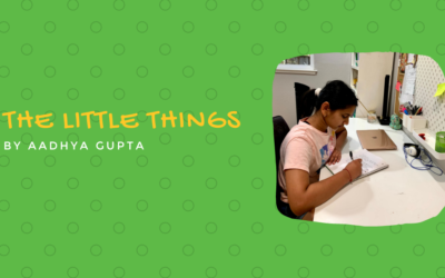 The Little Things by Aadhya Gupta {Inklings Book Contest 2021 Finalist}