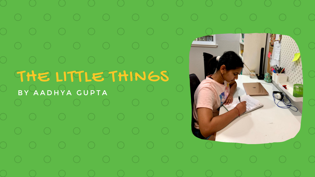 The Little Things by Aadhya Gupta {Inklings Book Contest 2021 Finalist}