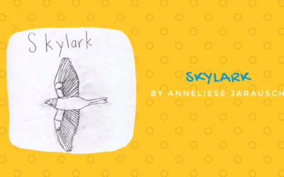 Skylark by Anneliese Jarausch {Inklings Book Contest 2021 Finalist}