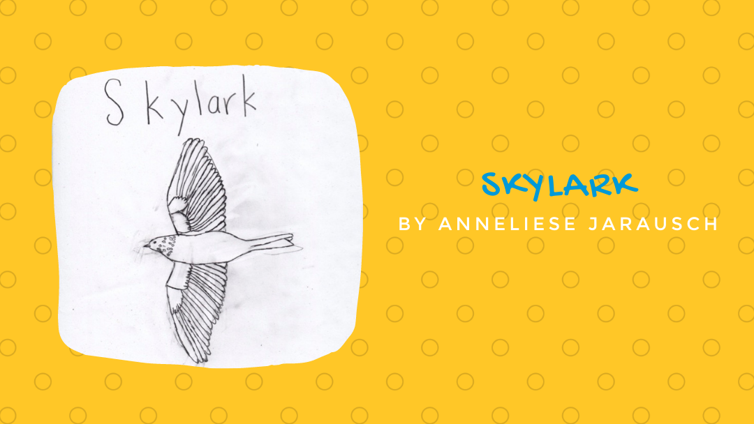 Skylark by Anneliese Jarausch {Inklings Book Contest 2021 Finalist}