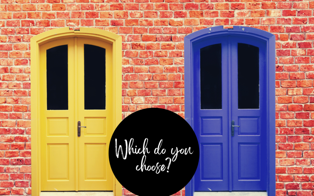 Two doors - Which do you choose?