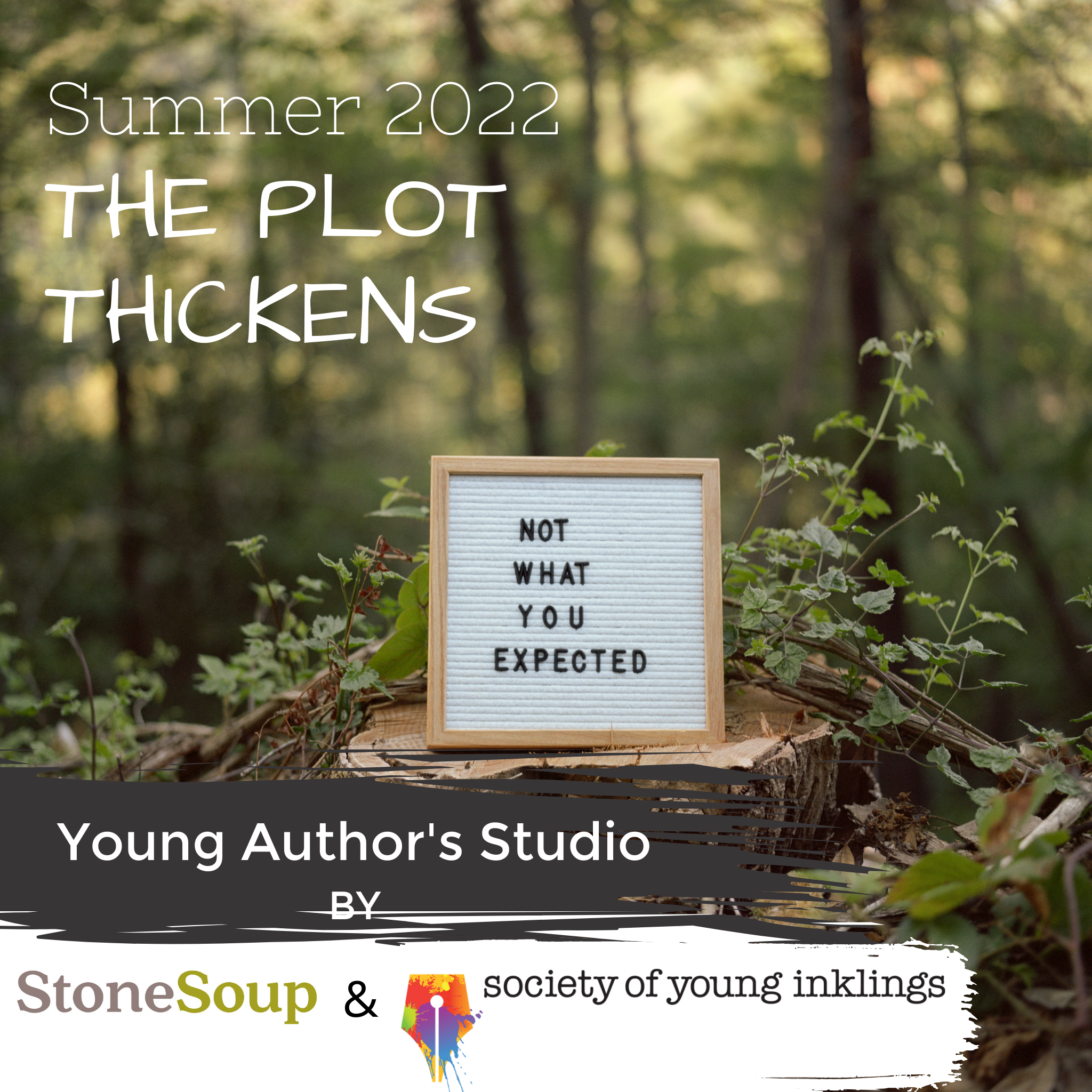 Plot Summer Camp Logo 2022