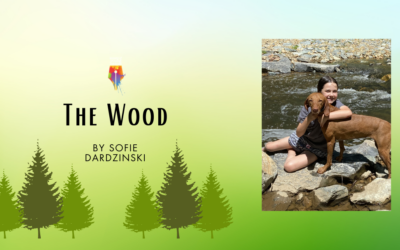 The Wood by Sofie Dardzinski {Inklings Book Contest 2023 Finalist}
