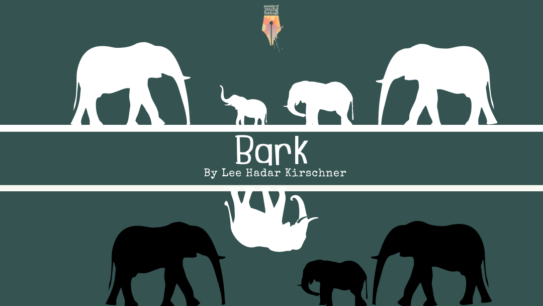 Bark by Lee Hadar Kirschner {Inklings Book Contest 2024 Finalist}