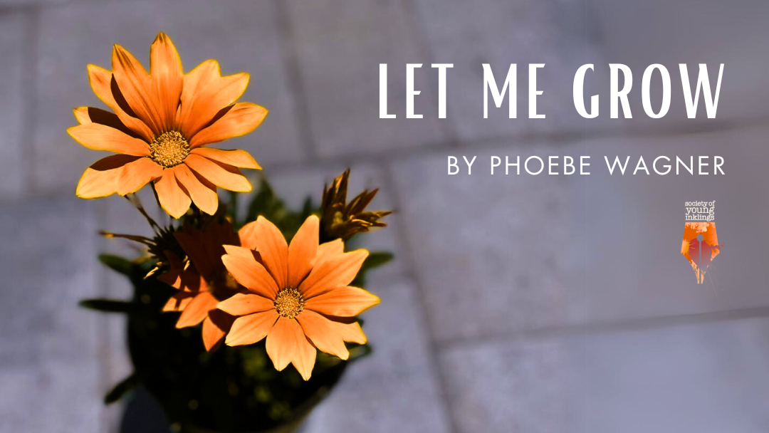 Let Me Grow by Phoebe Wagner {Inklings Book Contest 2024 Finalist}