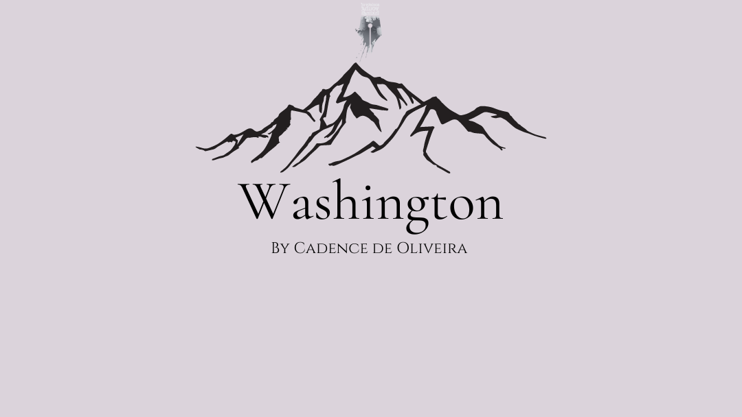 Washington by Cadence De Oliveira {Inklings Book Contest 2024 Finalist}