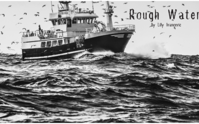 Rough Waters by Lilly Ivancevic {Inklings Book Contest 2024 Author}