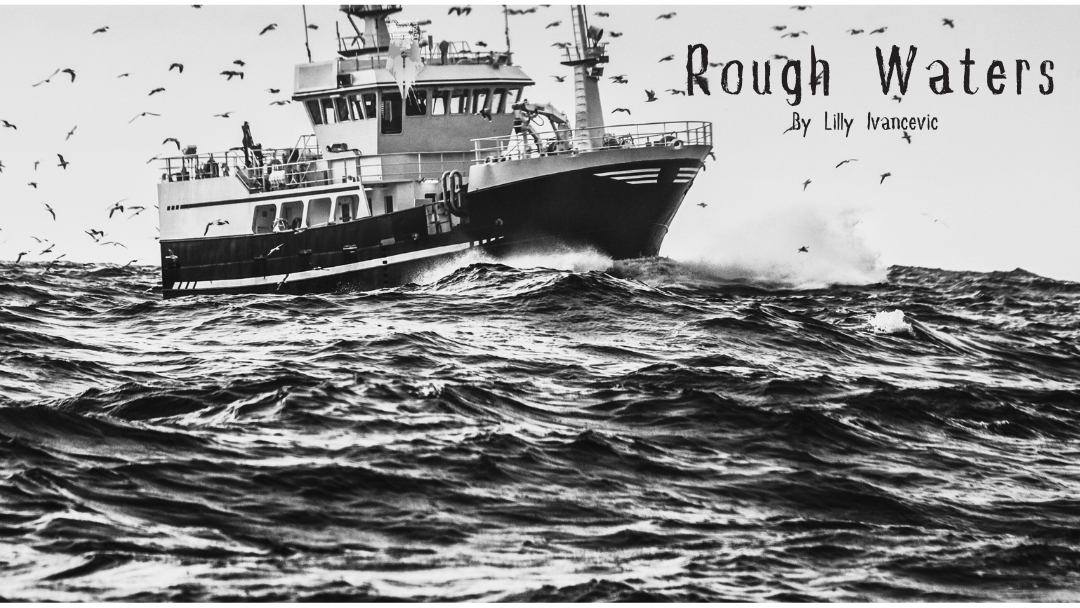 Rough Waters by Lilly Ivancevic {Inklings Book Contest 2024 Author}
