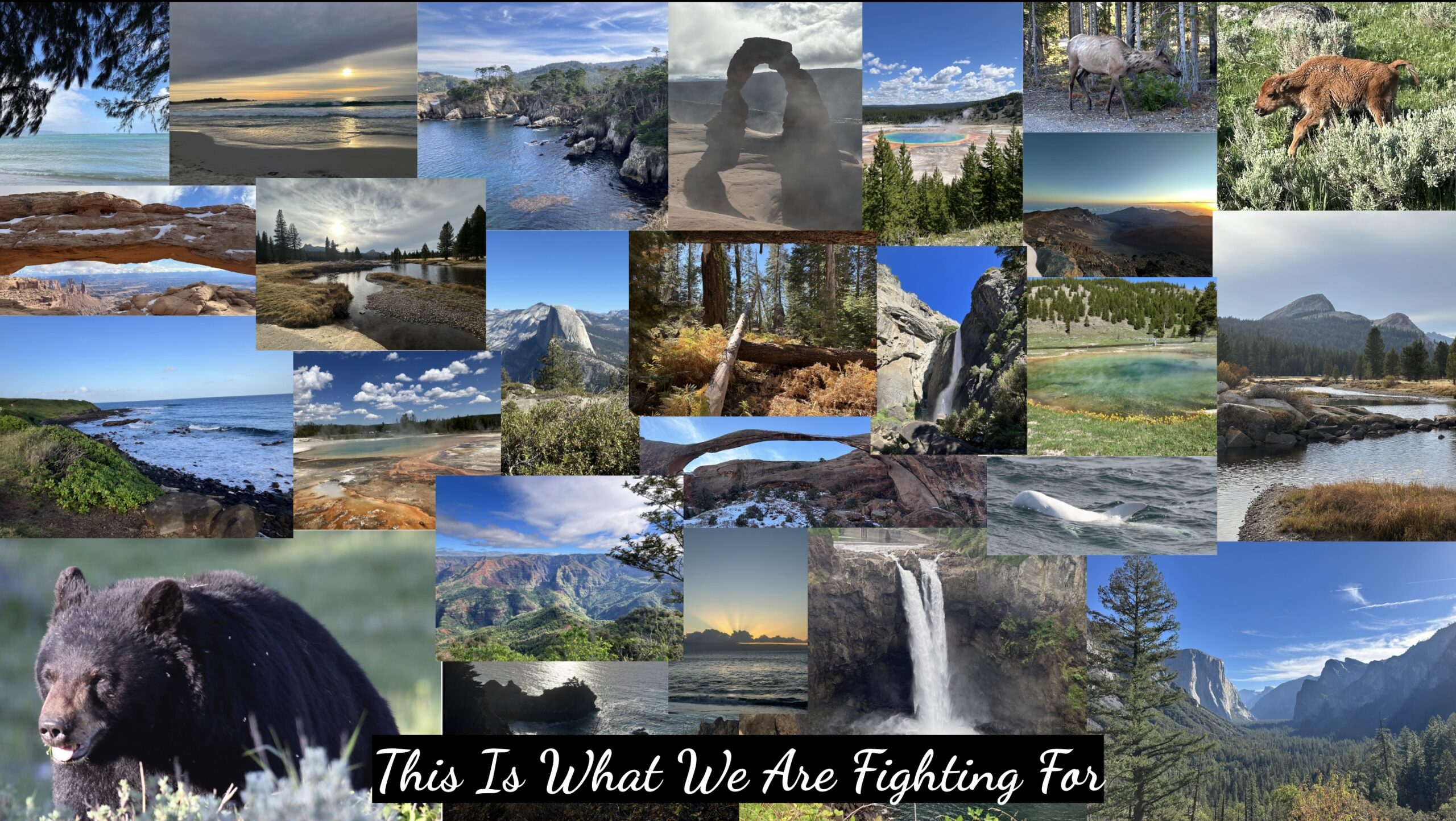 Watch Featured Image Medley of images of natural beauty